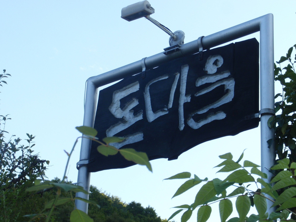 돈마을 이미지