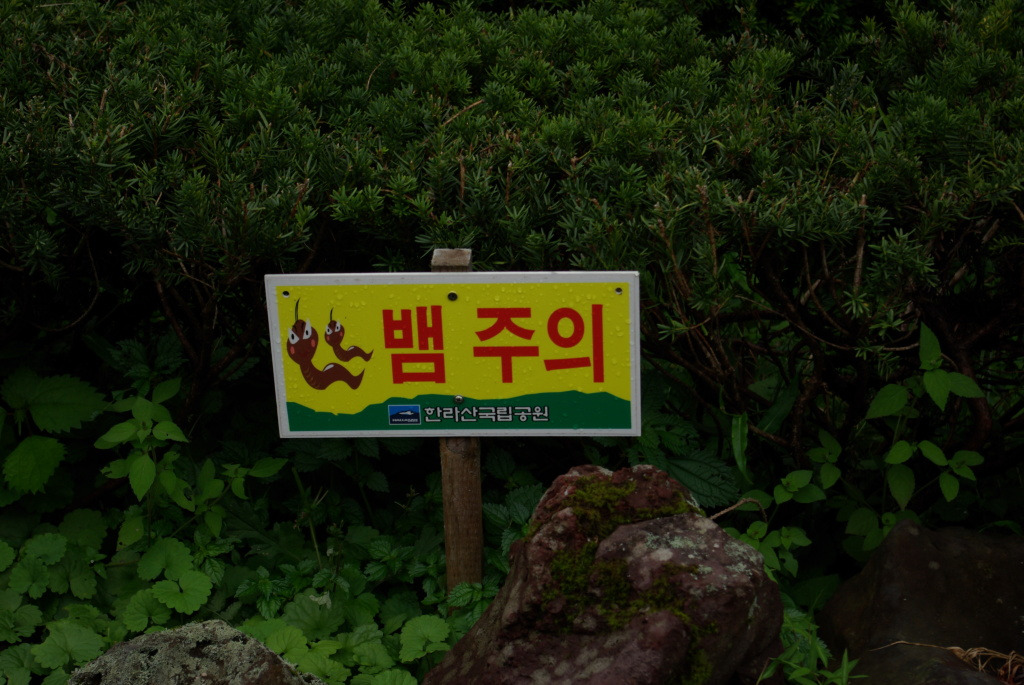 진주식당 이미지