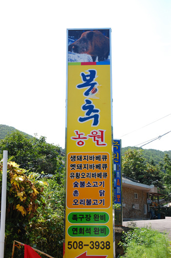 돼지와오리마을 이미지