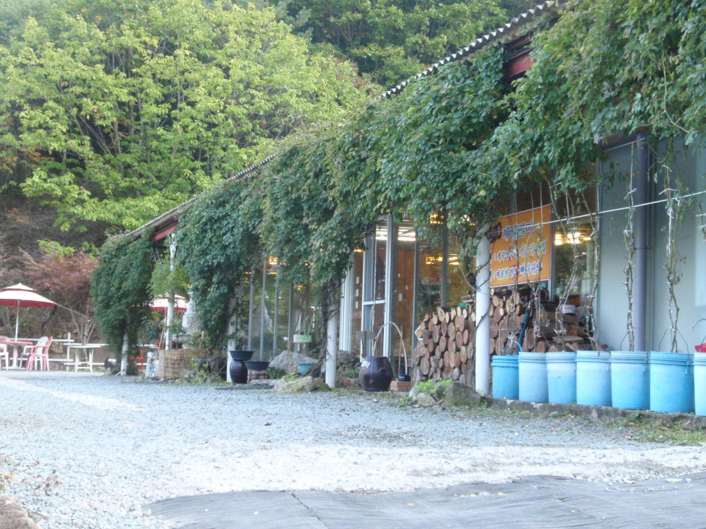 돈마을 이미지