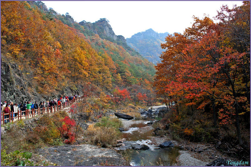 (주)상무시네마 이미지