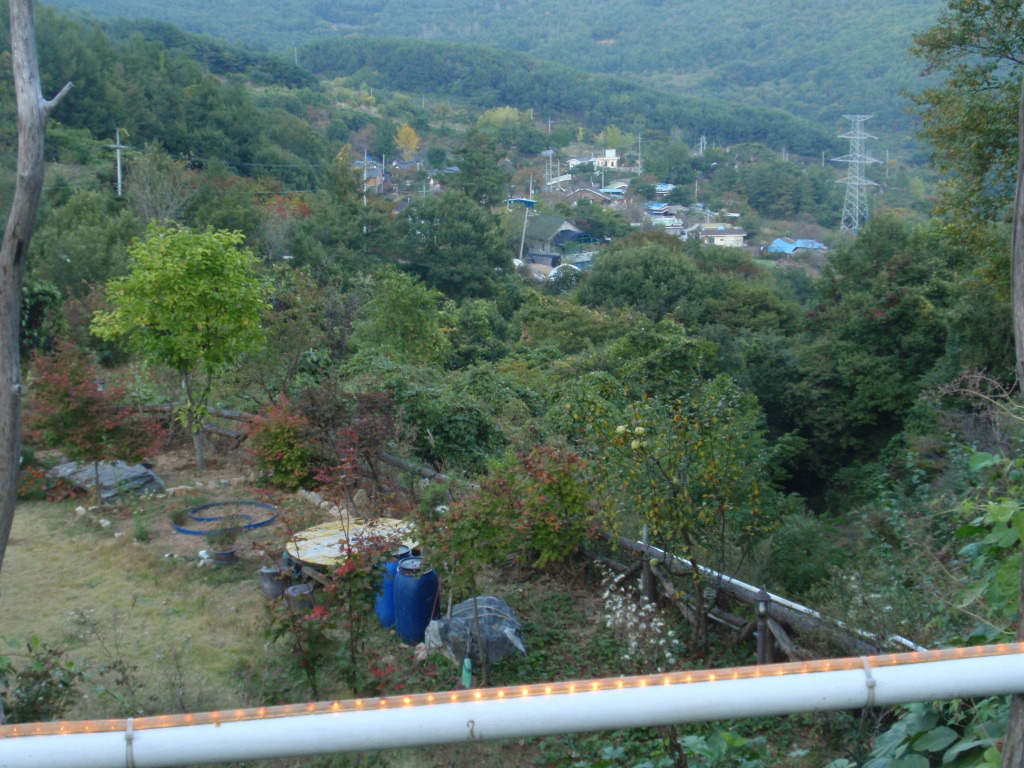 돈마을 이미지