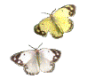 À̹ÌÁö¸¦ Ŭ¸¯ÇÏ¸é ¿øº»À» º¸½Ç ¼ö ÀÖ½À´Ï´Ù.